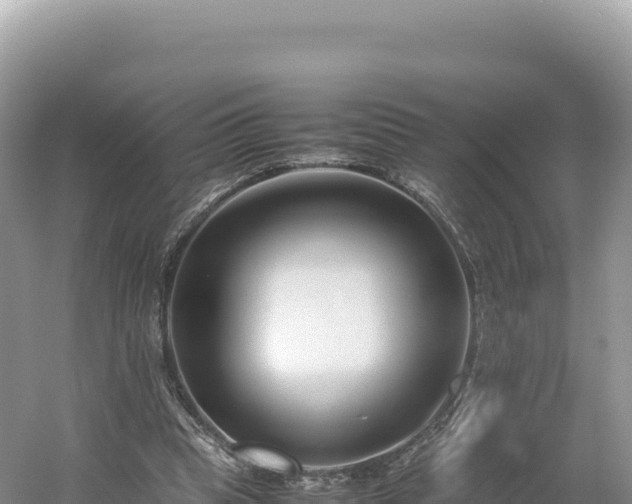 X0000054390345200508051653