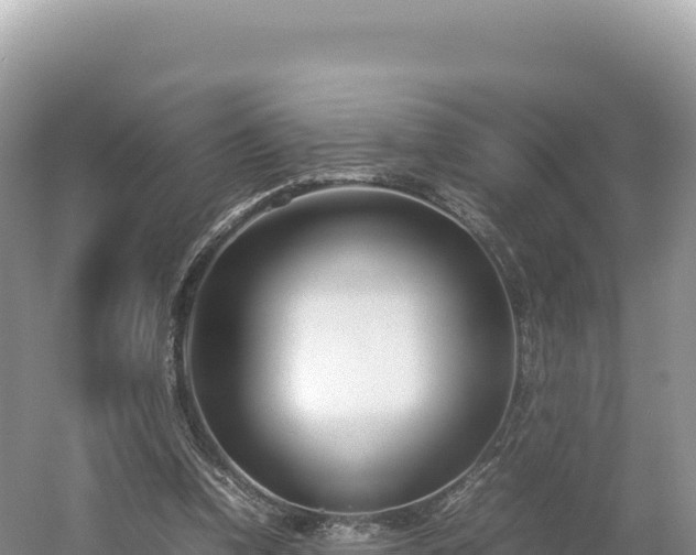 X0000054390346200508051653