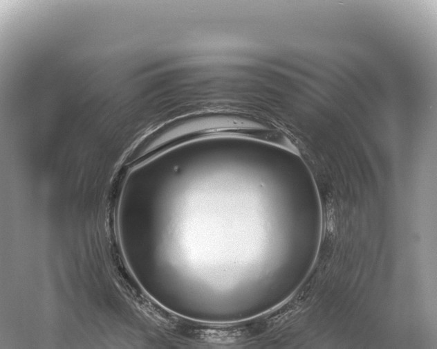 X0000054390347200508051653