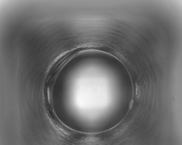 X0000054390348200508051653