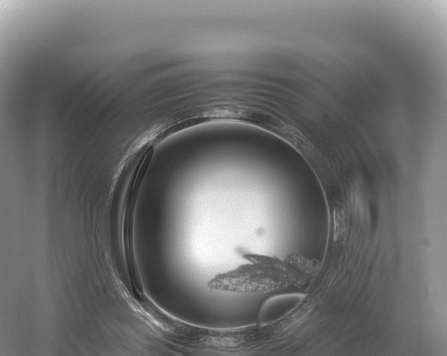 X0000054390349200508051653