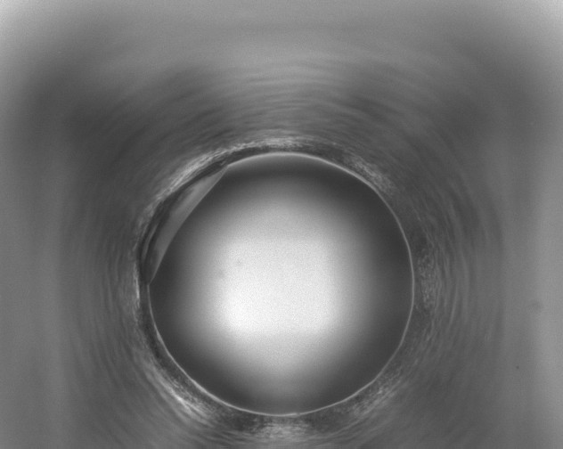 X0000054390350200508051653