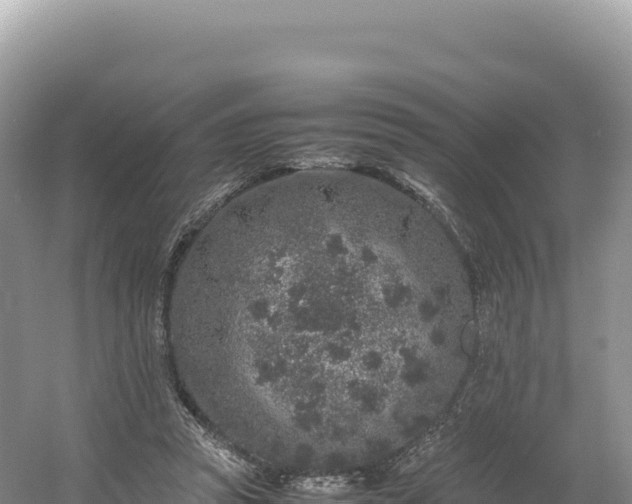 X0000054390353200508051653