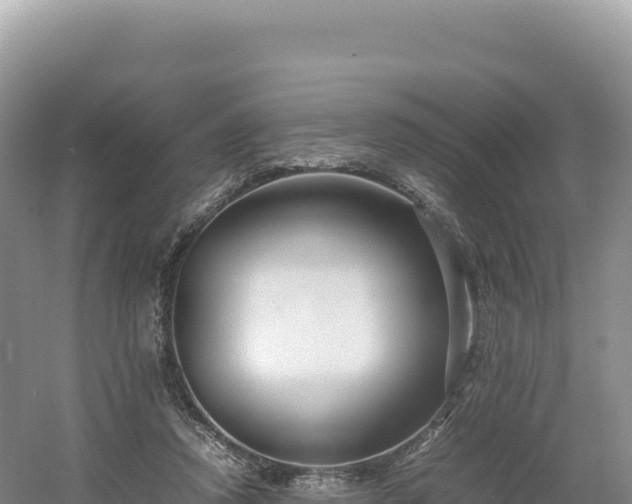 X0000054390354200508051653