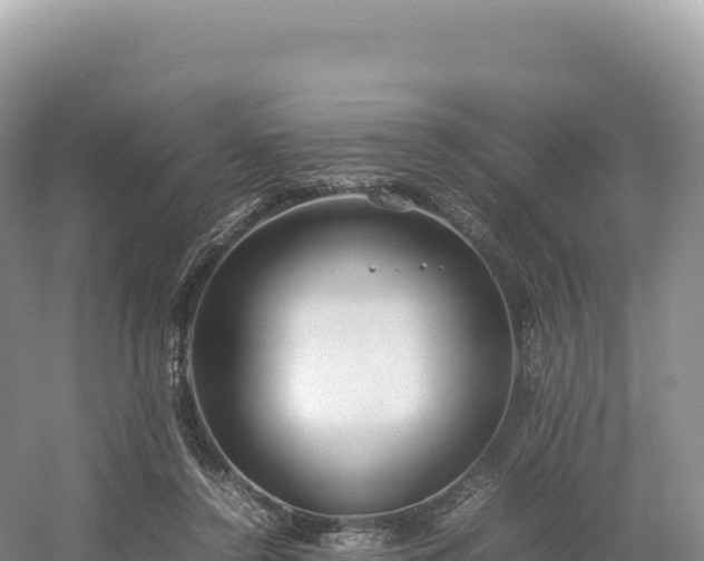 X0000054390356200508051653