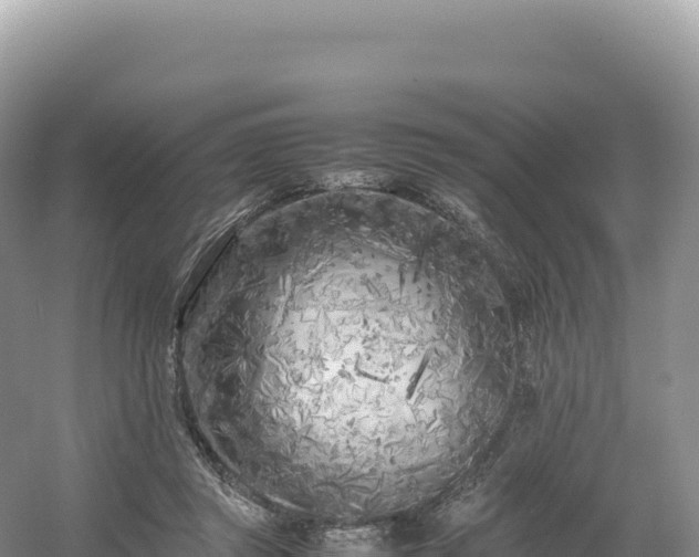 X0000054390357200508051653