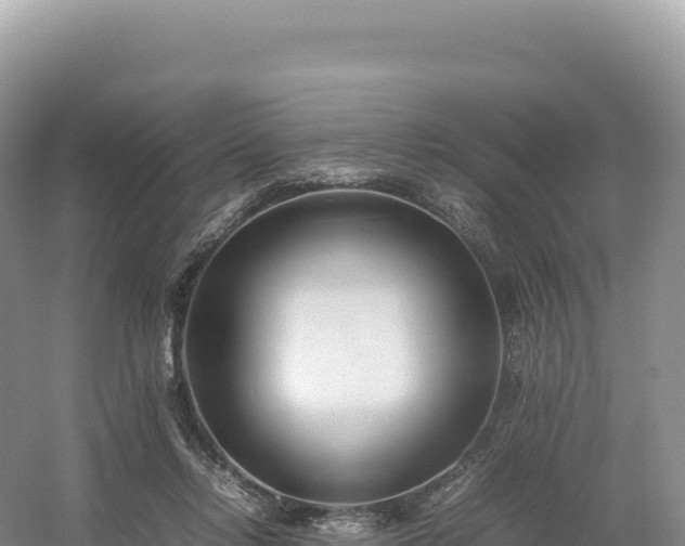 X0000054390358200508051653