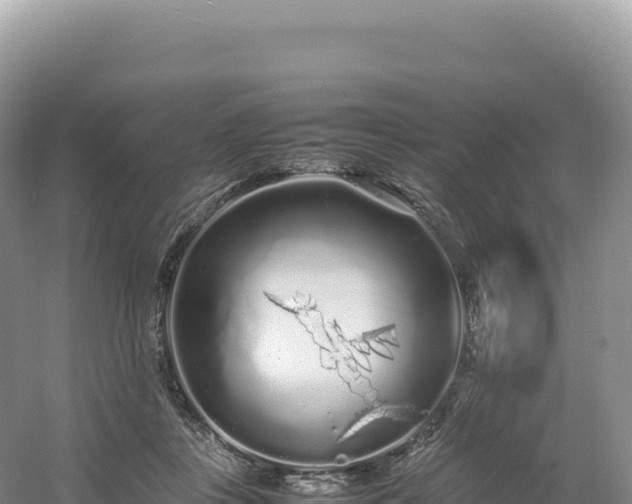 X0000054390359200508051653