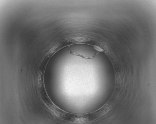 X0000054390360200508051653