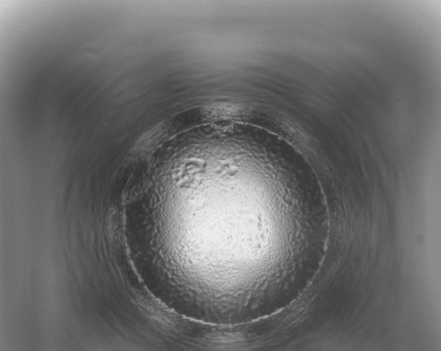 X0000054390361200508051653