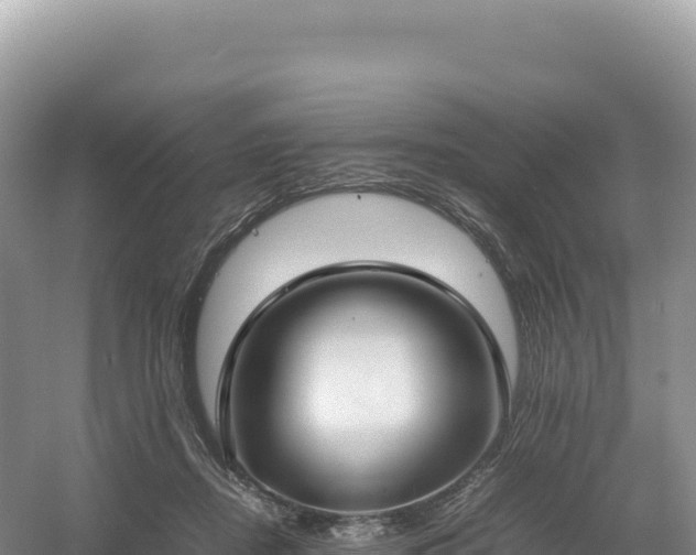 X0000054390362200508051653