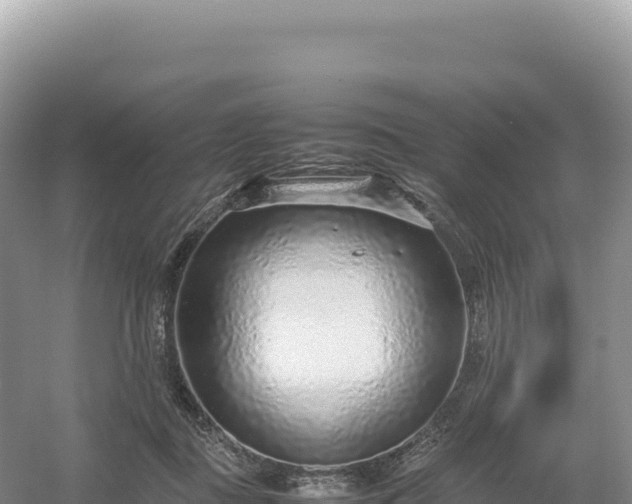 X0000054390363200508051653