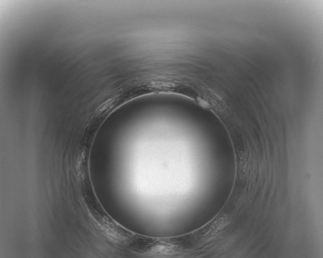 X0000054390364200508051653