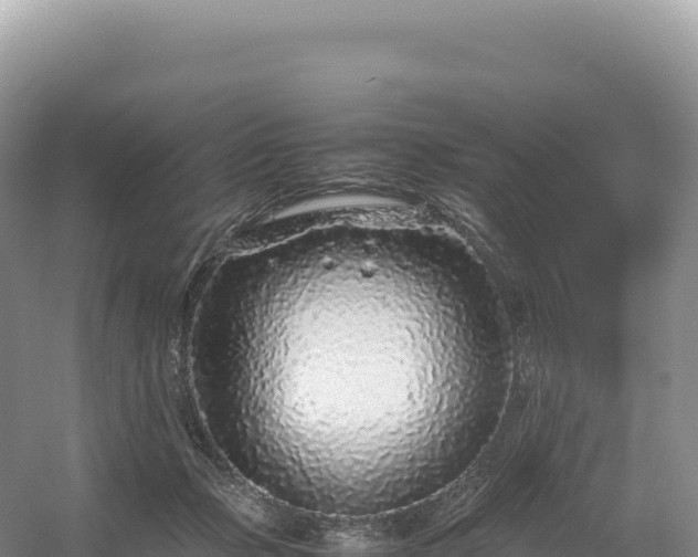 X0000054390365200508051653