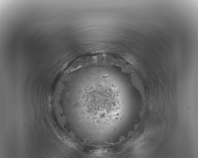 X0000054390366200508051653