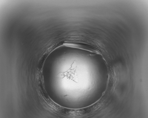 X0000054390367200508051653