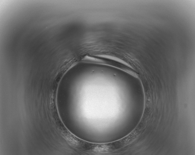 X0000054390369200508051653