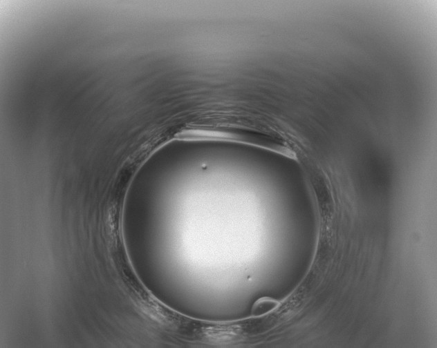 X0000054390373200508051654