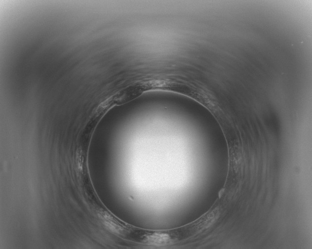 X0000054390374200508051654