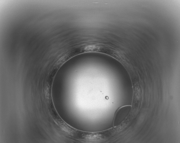 X0000054390375200508051654