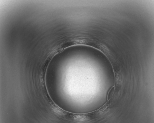 X0000054390377200508051654