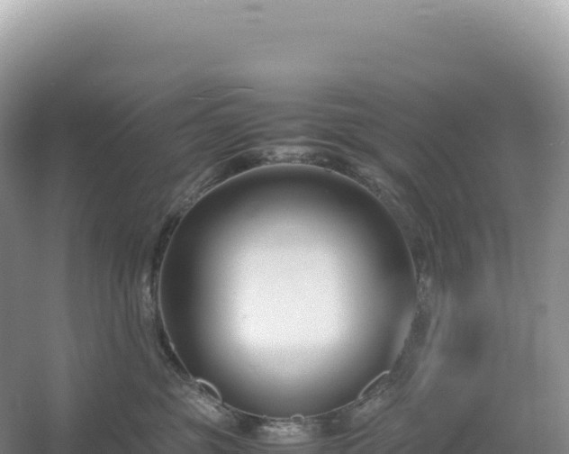 X0000054390381200508051654