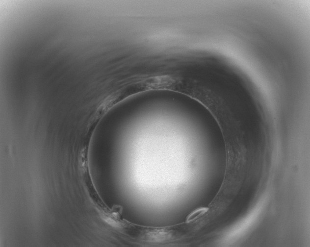 X0000054390383200508051654