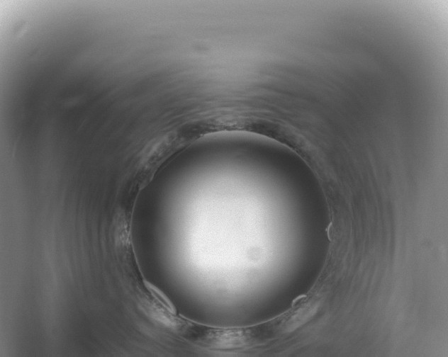 X0000054390384200508051654