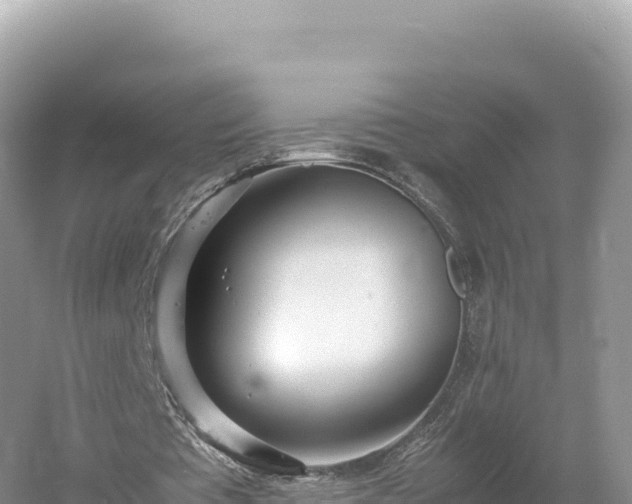 X0000054390385200508051653