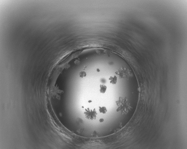 X0000054390386200508051653