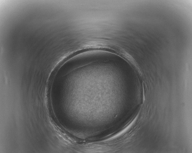 X0000054390387200508051653