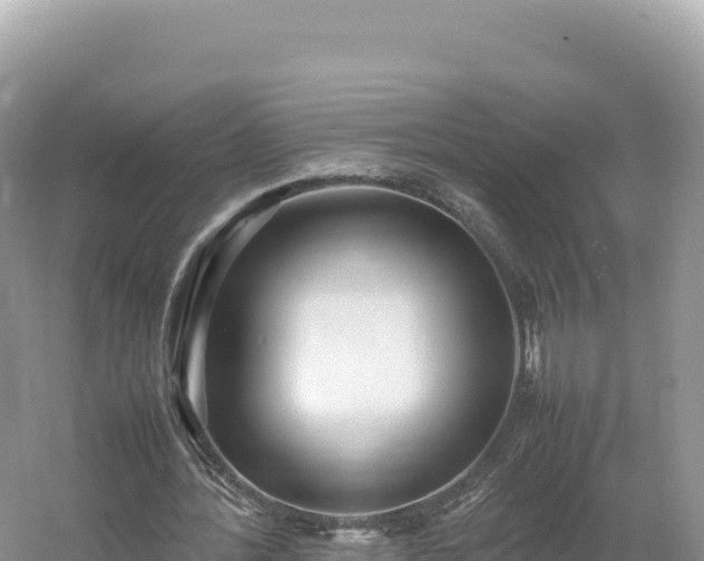 X0000054390388200508051653