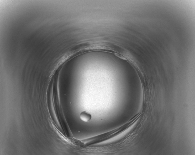 X0000054390389200508051653