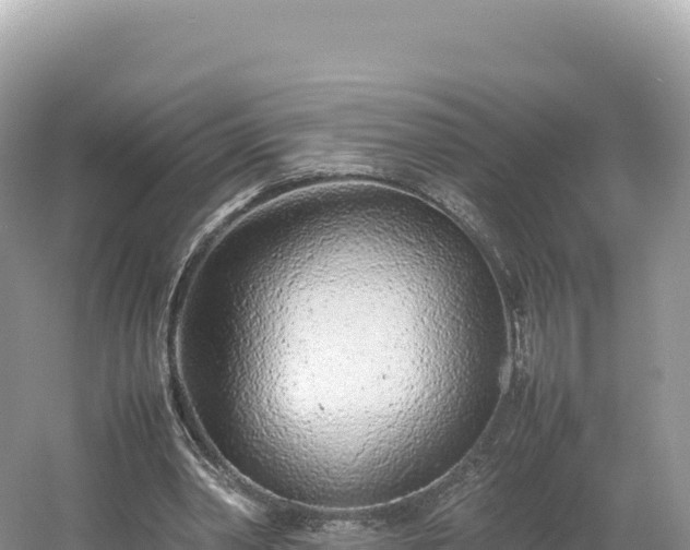 X0000054390390200508051653