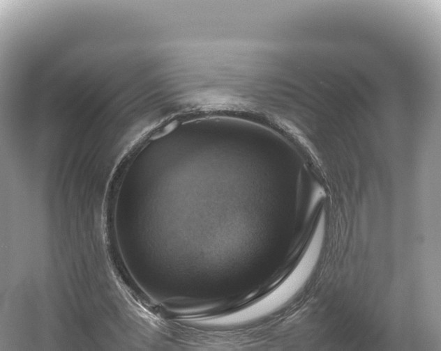 X0000054390391200508051653