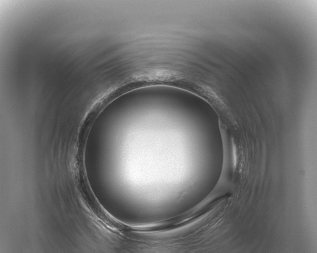 X0000054390392200508051653