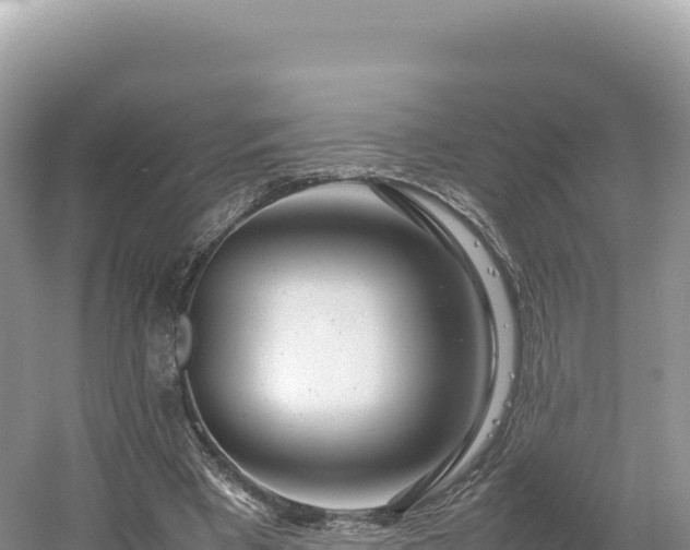 X0000054390393200508051653