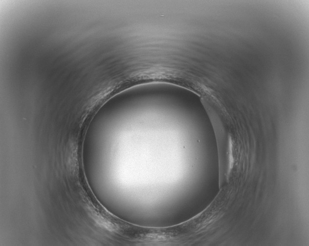 X0000054390394200508051653