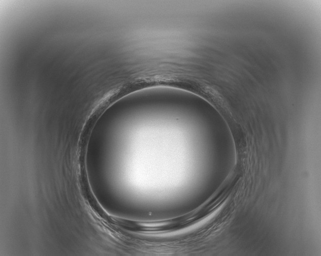 X0000054390395200508051653