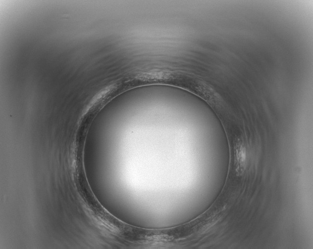 X0000054390396200508051653