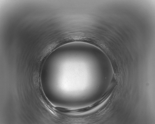 X0000054390397200508051653