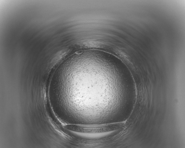 X0000054390398200508051653