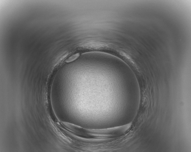 X0000054390399200508051653