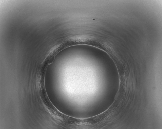 X0000054390400200508051653