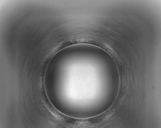 X0000054390401200508051653