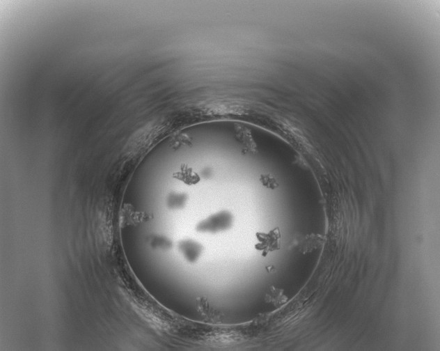 X0000054390402200508051653