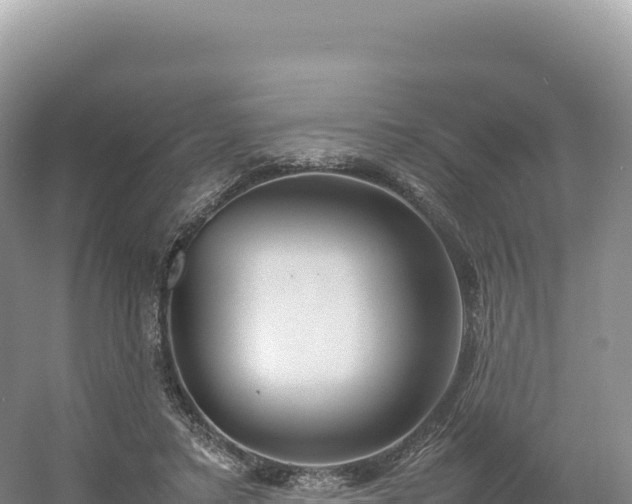 X0000054390403200508051653