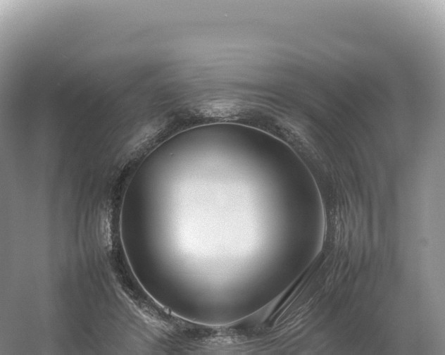 X0000054390404200508051653