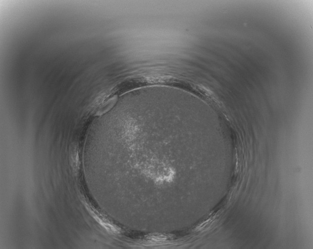 X0000054390405200508051653