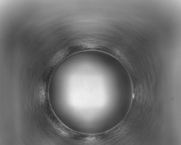 X0000054390406200508051653